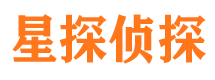 无极市私家侦探公司